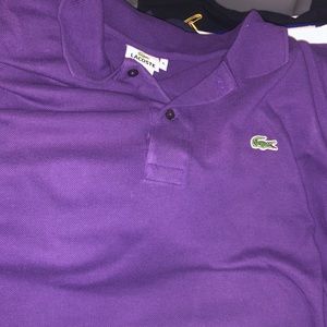 Lacoste big and tall polo